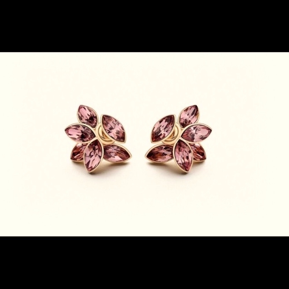 Dior Earrings